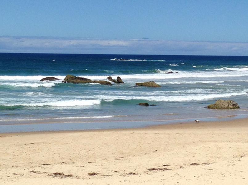 Oxley Cove Holiday Apartment Port Macquarie Bagian luar foto